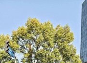 开运体育登录入口-包含篮球盛典盛况：瑞典女篮夺得欧洲女子篮球冠军的词条