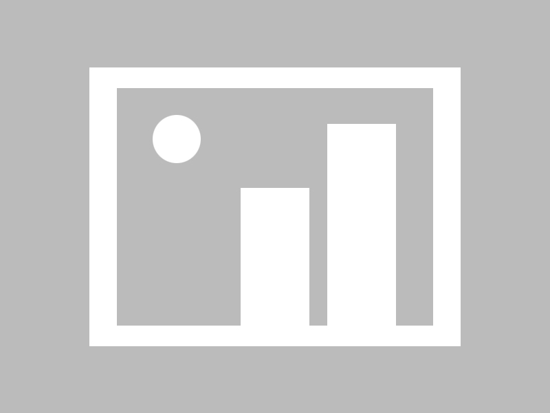 雄鹿夺取胜利之城，全队势头正旺场面炫动