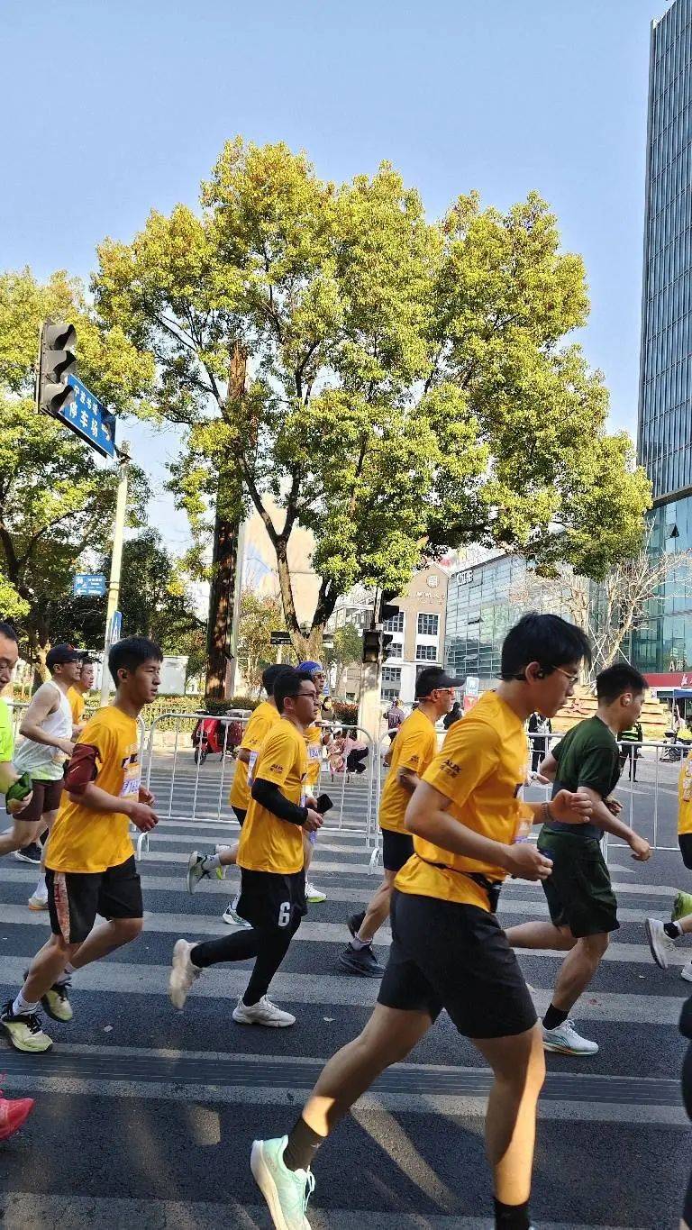 包含篮球盛典盛况：瑞典女篮夺得欧洲女子篮球冠军的词条