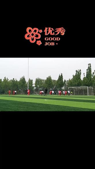 爱尔兰队发挥出色，晋级机会大增的简单介绍