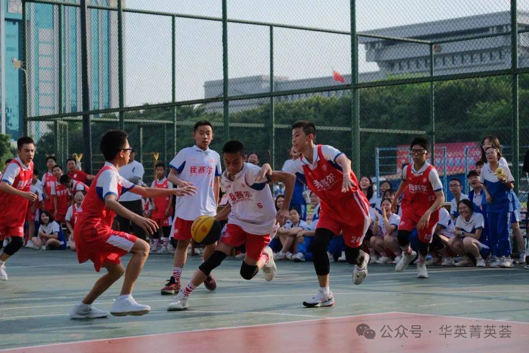 关于群星闪耀，篮球比赛成为观众热议话题的信息