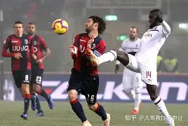 塔斯马尼亚联防线稳固，力拼阿尔艾因全力拿分的简单介绍