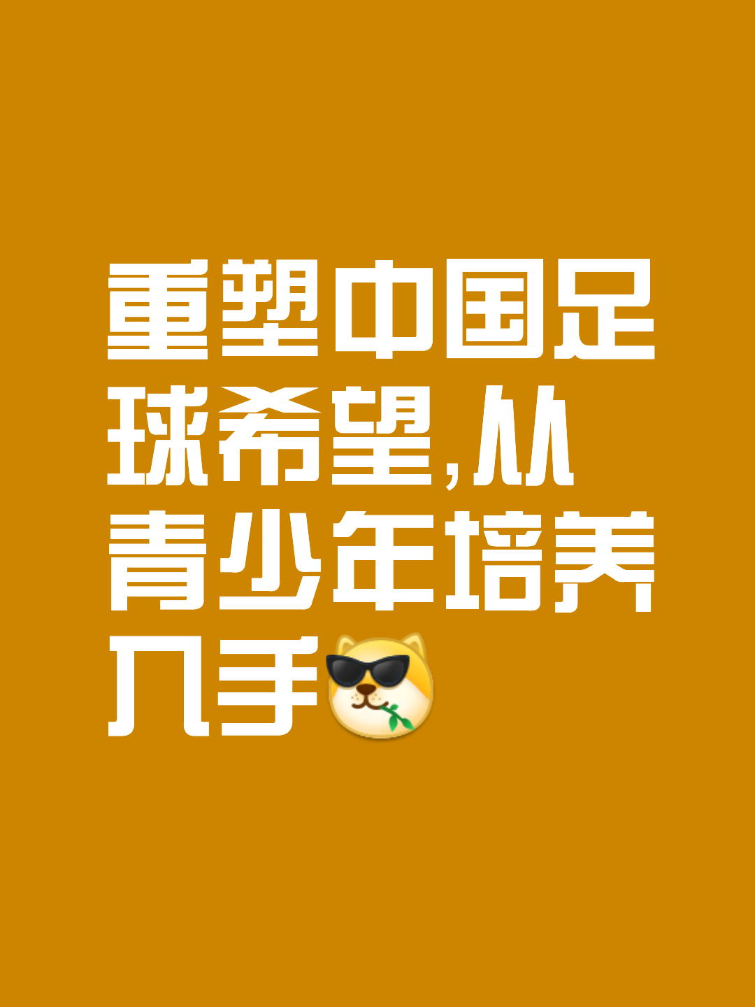 开云体育网页版-持续布局青训，比亚迪助力中国足球从根扎起(中国足球青训发展现状)